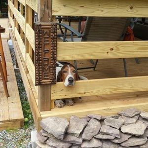 Meet your Posher, Darlene